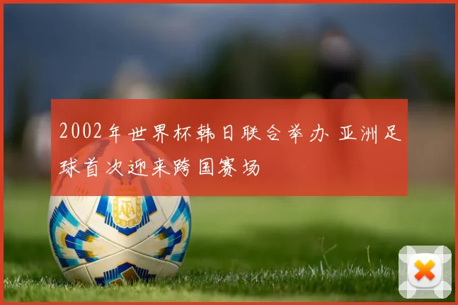 2002年世界杯韩日联合举办 亚洲足球首次迎来跨国赛场